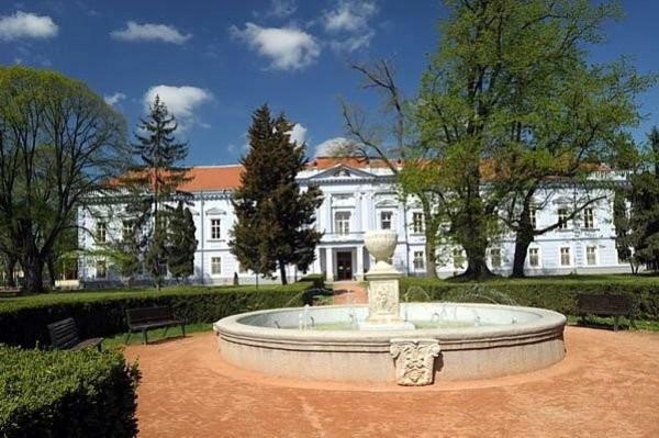 Kimy Home Mojmirovce Exterior photo